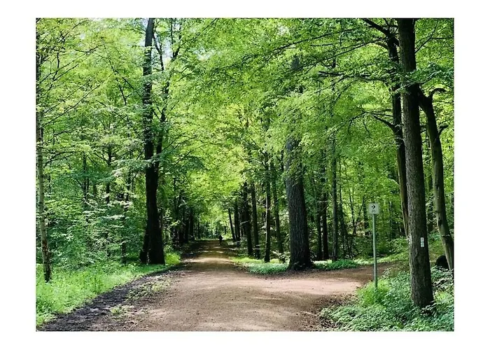 Ahorn, 1st Floor * 维勒斯威特